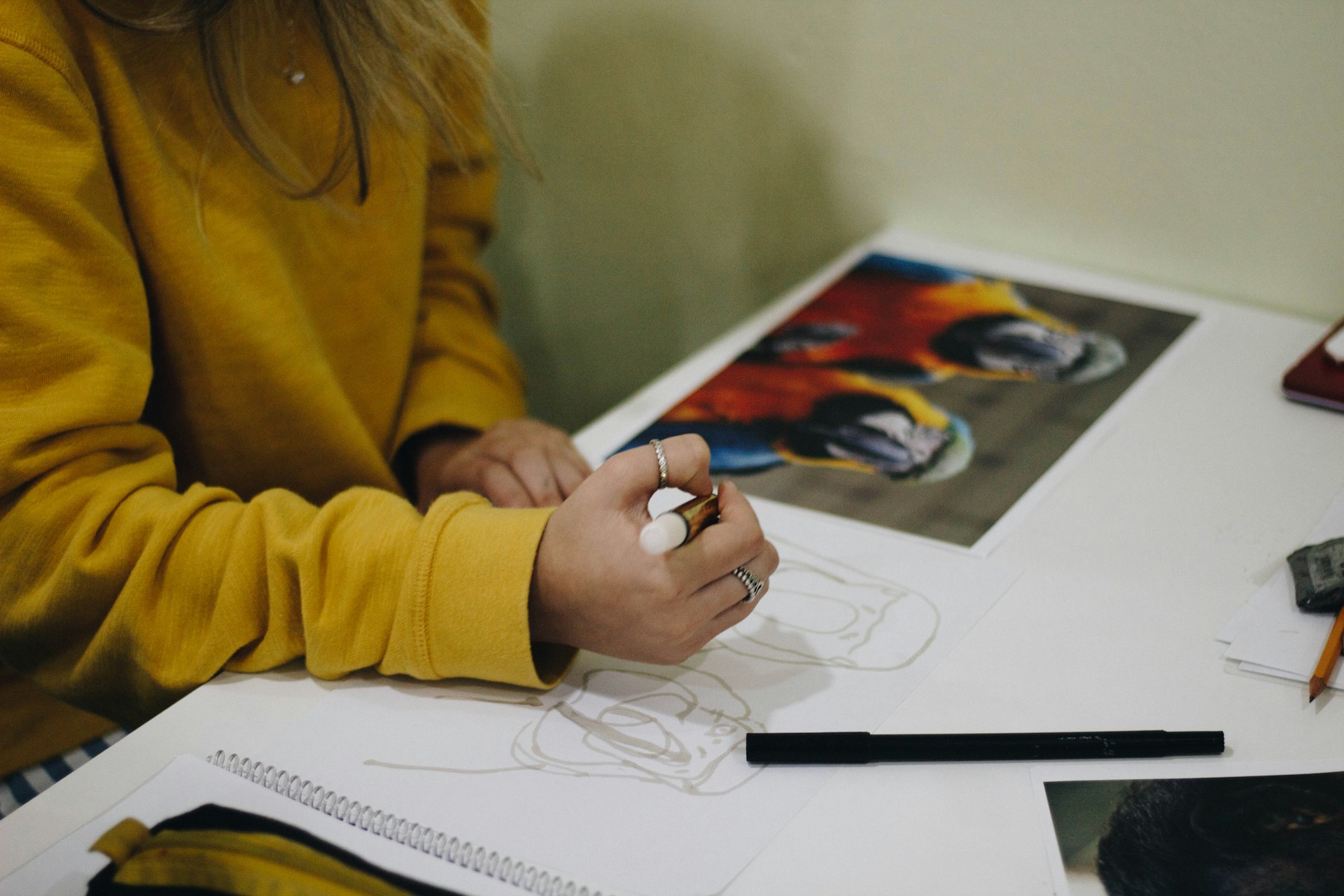 Home tutors in dha phase 8 Lahore person drawing birds in dha phase 8 Lahore